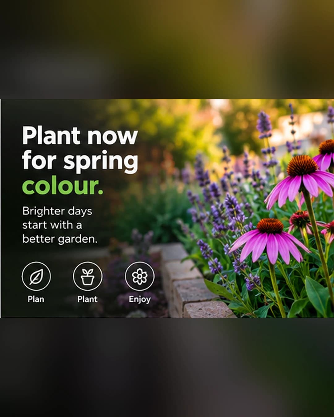 Landscaper social media post: Plant now for spring colour.